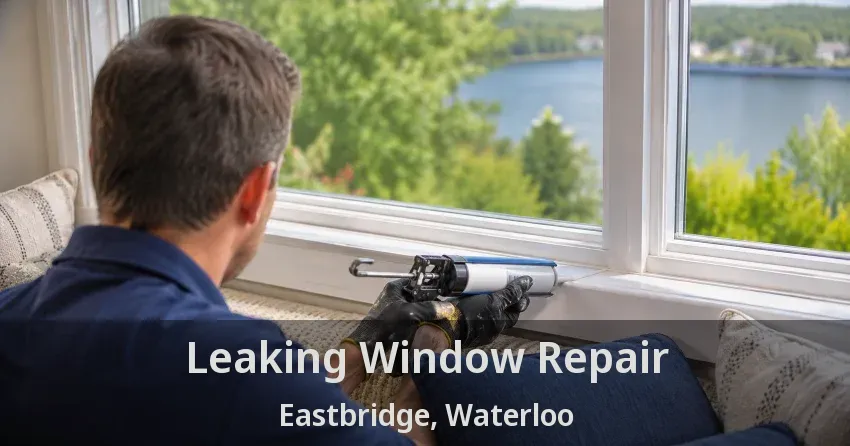 Leaking Window Repair Eastbridge, Waterloo - ON