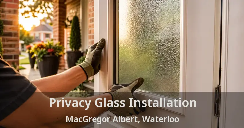 Privacy Glass Installation MacGregor Albert, Waterloo - ON